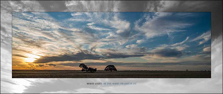 Bight cloudy sky with isolated trees in paddock.